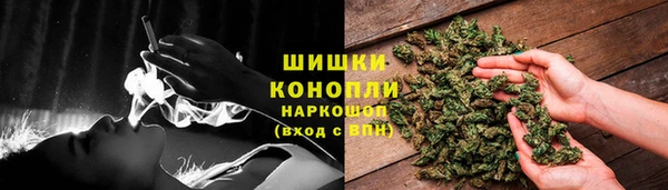 наркотики Бородино
