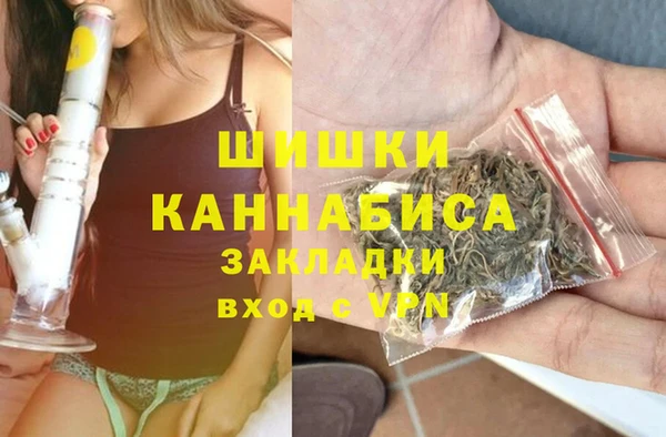 винт Бронницы