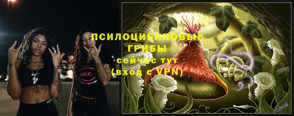 винт Бронницы