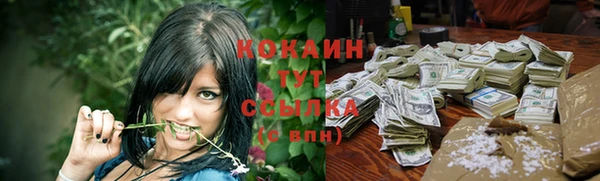стаф Верхний Тагил