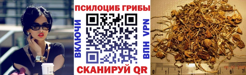 Галлюциногенные грибы Cubensis  наркота  Кировград 